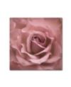 Cora Niele 'Misty Rose Pink Rose' Canvas Art - 14  x 14  x 2