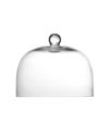 Jupiter Glass Large Dome - Fits 13  Cake Stand