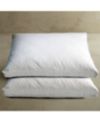 Blue Ridge White Goose Feather & Down 233 Thread Count 100% Cotton 2-Pack Pillow, Jumbo